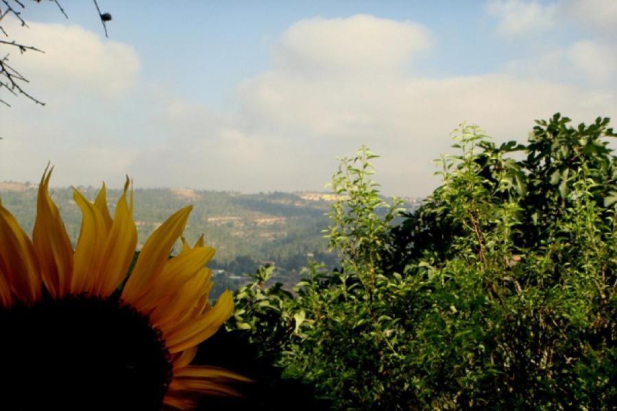 View Of The Valley Guest House エルサレム 部屋 写真