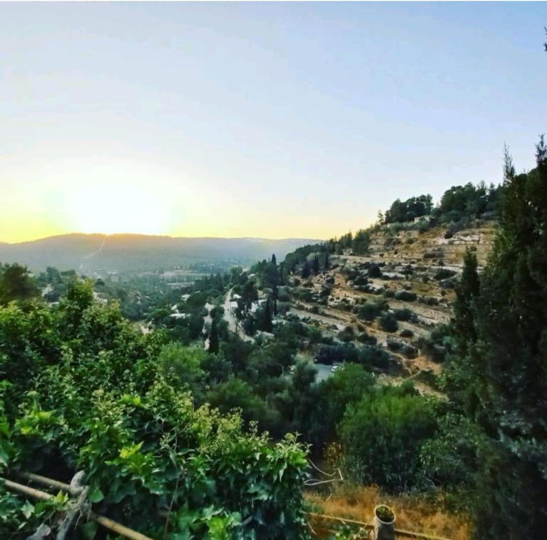 View Of The Valley Guest House エルサレム 部屋 写真