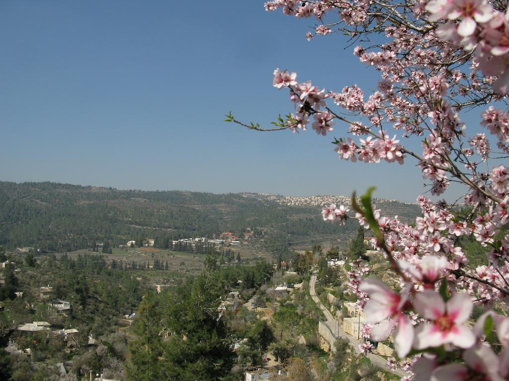 View Of The Valley Guest House エルサレム エクステリア 写真