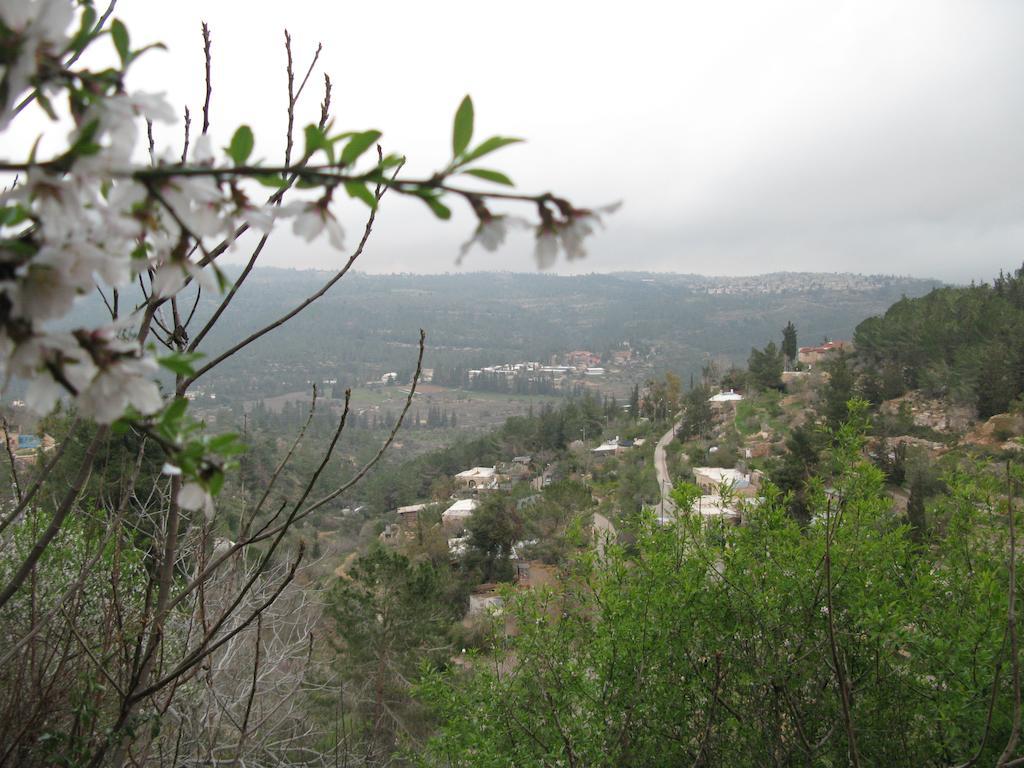 View Of The Valley Guest House エルサレム エクステリア 写真